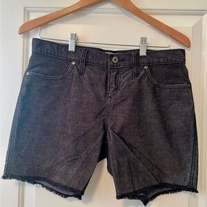 Carve Design OAHU 6” SHORT